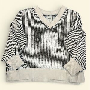 Aerie Black and Cream V-Neck Sweater